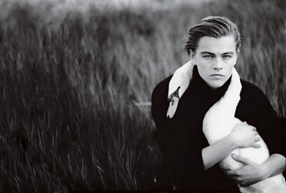 Leonardo di Caprio Ella pensó que el cisne tuvo ese comportamiento porque le gustan mucho los animales.