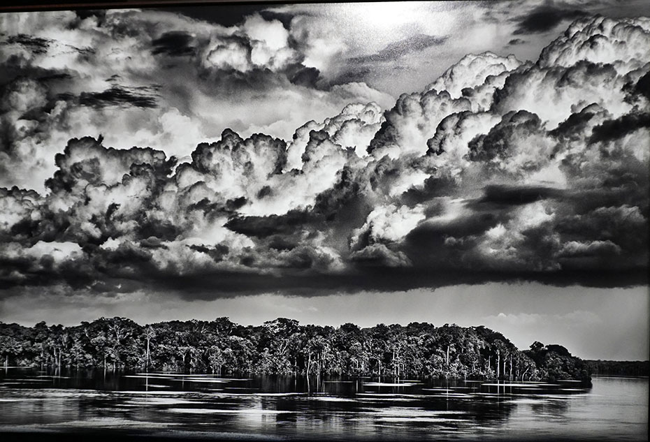 Sebatião Salgado Brasil 1944, fotógrago, artista americano